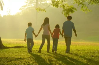 How Does Your Environment Affect Your Wellness?